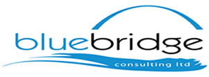 Bluebridge Consulting : Interim Marketing Cover